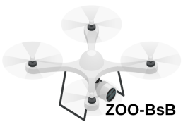 drone2